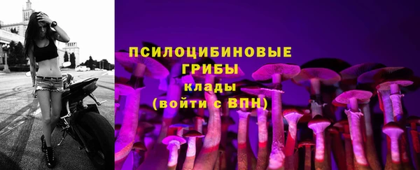 mix Армянск