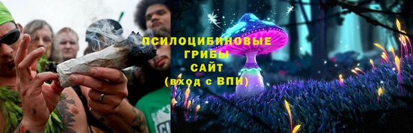 2c-b Арсеньев